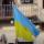 Ucraina, Studio Susini: "Una Pmi su 3 rischia chiusura entro l'anno se Governo n